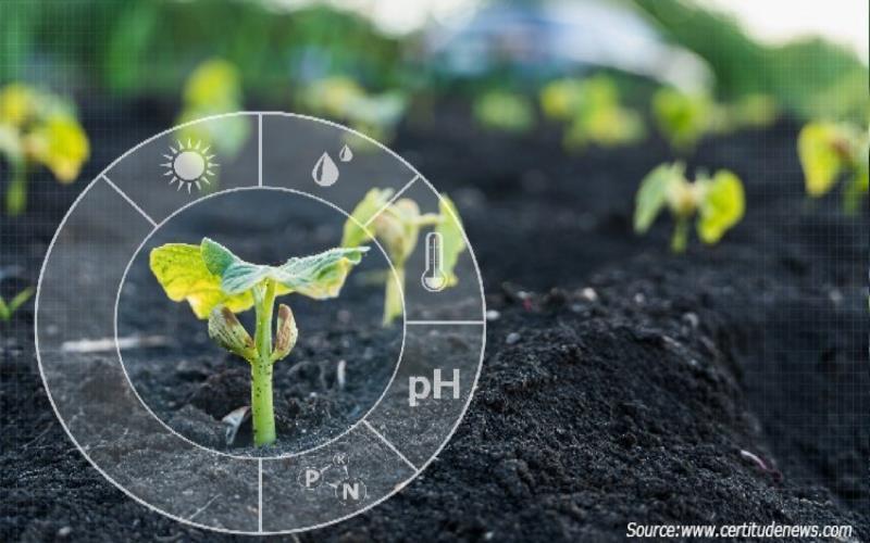 The Future of Seed Technology: Innovations Driving Agricultural Transformation The Future of Seed Technology Innovations Driving Agricultural Transformation